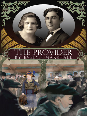 cover image of The Provider